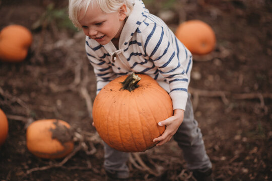 Blonde child carrying pumpkin at farm
