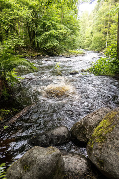 Freshwater spring emerges among granite boulders beside the Wolfsteiner Ohe in Buchberger Leite, Bavaria.