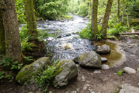Freshwater spring emerges among granite boulders beside the Wolfsteiner Ohe in Buchberger Leite, Bavaria.