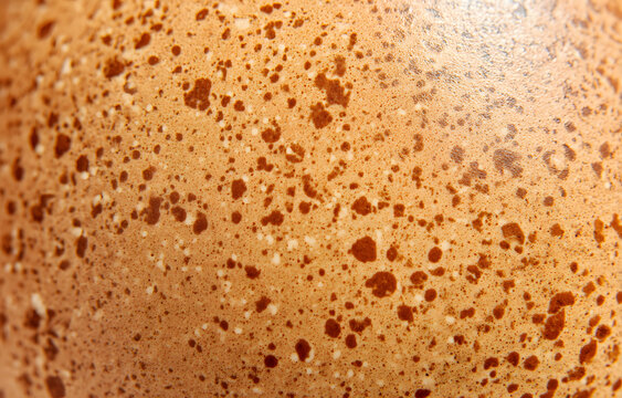 A close-up macro shot of a brown eggshell texture with natural speckles shows the intricate porous surface and organic brown patterns.