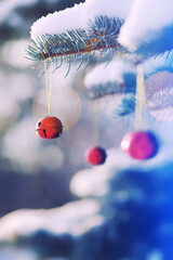 Obraz premium Red Christmas bell hangs on a snow-covered branch of a Christmas tree against a festive background of white snow. Christmas tree with decoration under snow