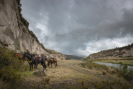 Cotopaxi National Park, Ecuador