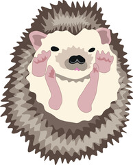 Cute funny hedgehog twisted into a ball © Юля Люта