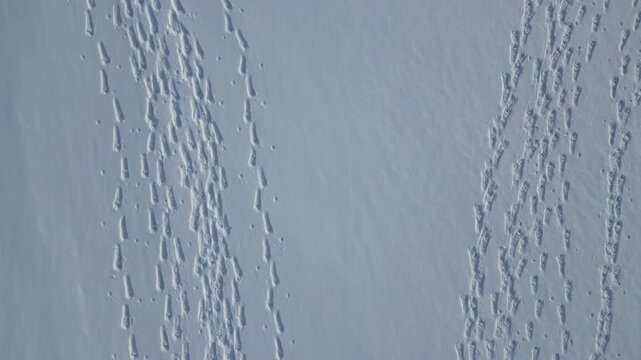 Aerial view of two paths of footprints across a smooth surface of deep white snow on Kvaloya island in Tromso Municipality, Troms, Norway.
