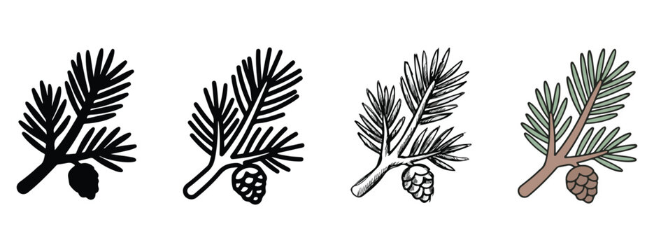 pine tree branches with cones in different styles for design and illustration  various artistic representations of pine branches with cones