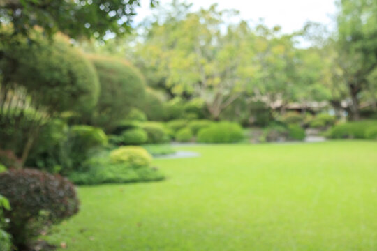 Abstract blur green park garden for background