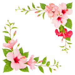 Tropical hibiscus flower border, featuring pink and red blossoms with green leaves, isolated on transparent. © Piotr