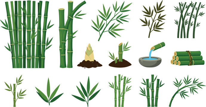 Green Bamboo Plant Vector Element Set Featuring Stalks Thickets Leaves Shoots Bundled Canes And Traditional Water Fountain Illustration