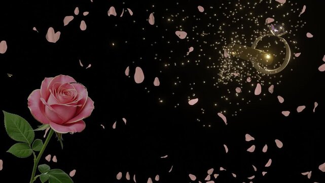 Animaci&oacute;n Bodas T&iacute;tulos Rom&aacute;nticos | Plantilla After Effects. Fondo liso para a&ntilde;adir textos y fechas.