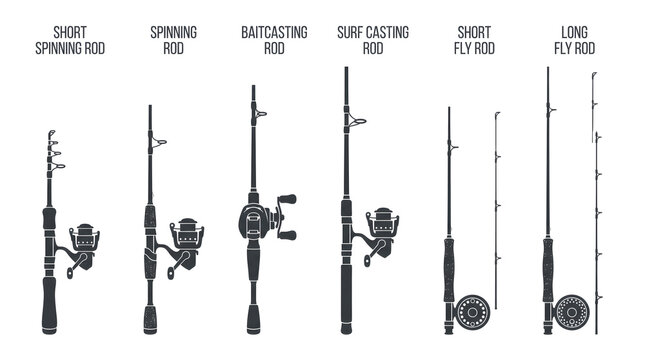 Fishing rods, assorted types, short spinning rod, baitcasting rod, surf casting rod, short fly rod, long fly rod
