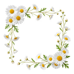 Fototapeta premium Beautiful white daisy flowers with yellow centers and green leaves arranged in a decorative corner on transparent.