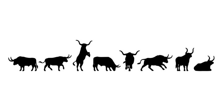 Bulls in Various Poses and Stances, Depicted as Black Silhouettes Against a White Background. Featuring Animals, Livestock, Horns with Standing