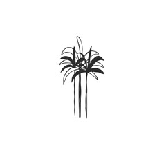 Obraz premium Hand drawn abstract vector graphic illustration collection with stylized line tropical palm leaves frames and borders design template.Trendy modern exotic sketch concept.Vector nature sketch symbol.