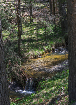 waterfall in the forest