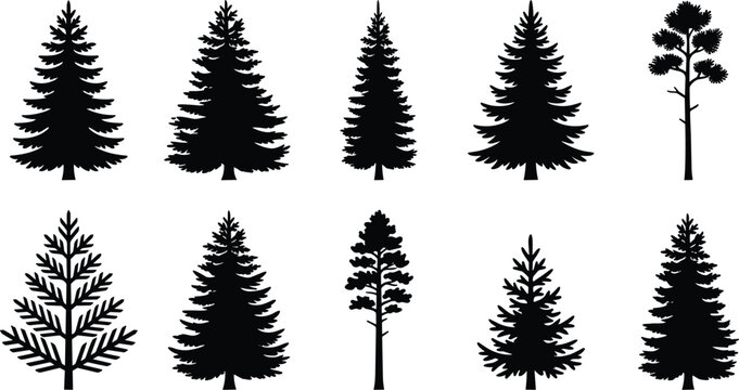 Pine tree black silhouette vector icon set featuring evergreen conifer forest plants like fir, spruce, cedar, and cedarwood isolated on white background.