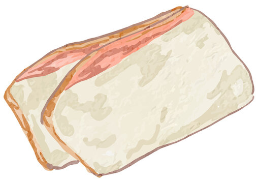 Lardo Watercolor Illustration