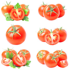 Fototapeta premium Set of tomatoes isolated