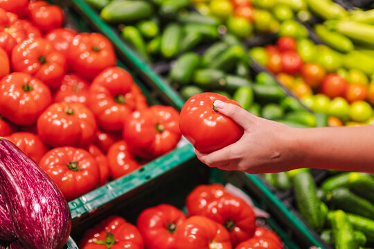 Woman selecting ripe tomato at supermarket fresh produce display