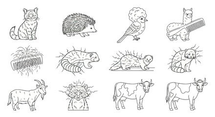 Obraz premium Animals featuring distinctive hair textures and fur patterns.
