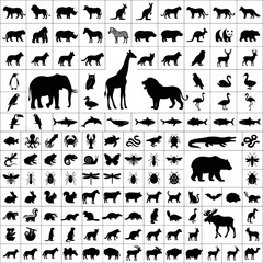 Fototapeta premium Massive grid of tiny animal and insect silhouettes.