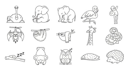Fototapeta premium Sleeping animals line art collection for coloring pages.