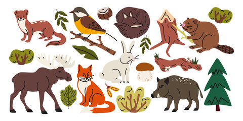 Obraz premium Collection of autumn forest animals, birds, mushrooms and woodland elements in cartoon doodle style. Cute wildlife set with bear, fox, deer, rabbit, beaver, boar and moose