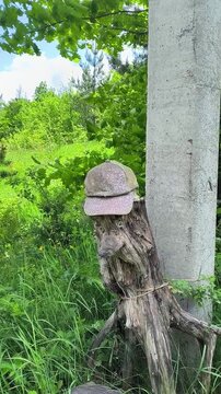 A whimsical tree stump shaped like a face and wearing a flat cap is tied to a concrete pole in a green forest. This quirky folk art adds rustic humor and fairy tale magic to the landscape