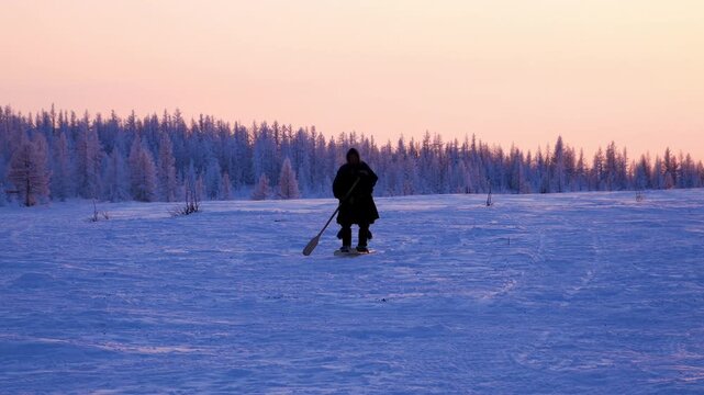 Silhouette solitary figure indigenous man from siberia, possibly nenets or yakut, walking with paddle through vast, snow landscape at sunset with frosty taiga forest. Life indigenous peoples in tundra