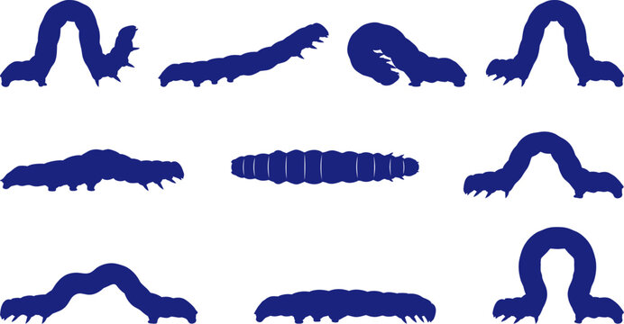 Blue inchworm and caterpillar larva silhouette set on transparent background pack Collection