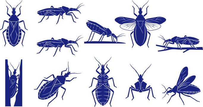 Blue kissing bug and triatomine insect silhouette pack on transparent background Collection