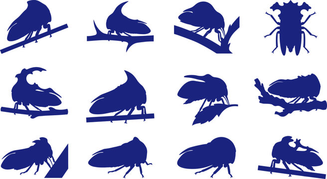 Treehopper insect silhouette pack displaying unique thorn-like bugs perched on twigs Collection