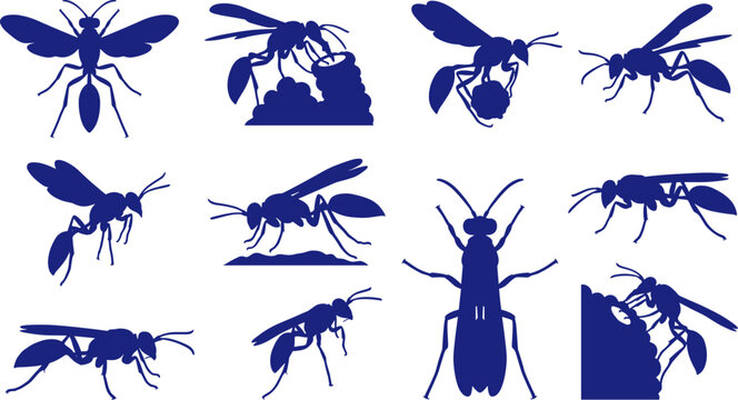 Wasp and hornet silhouette collection featuring various stinging insects in active poses