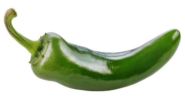 Green chili pepper with curved stem and glossy skin