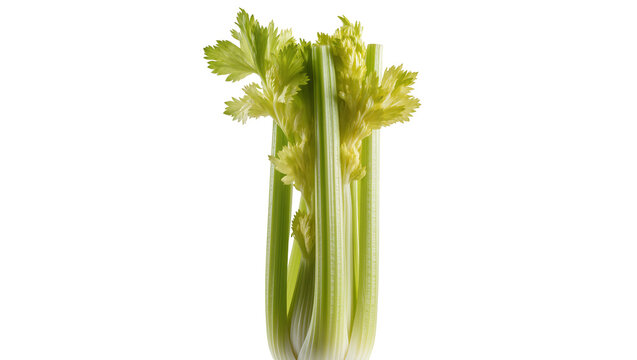 Fresh green celery stalks with leaves on white
