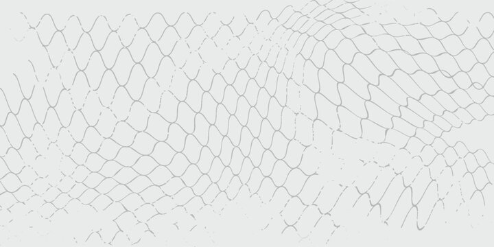 Black snake skin pattern isolated on white background eps 10