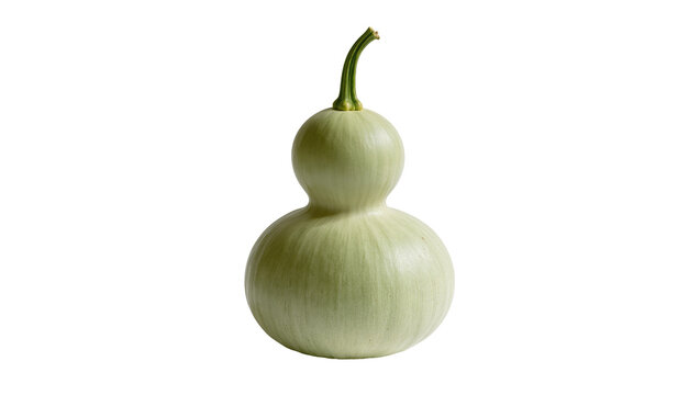 Light green double gourd calabash with stem