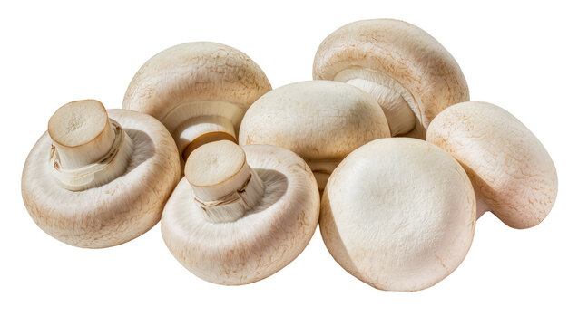 Group of white button mushrooms with visible gills