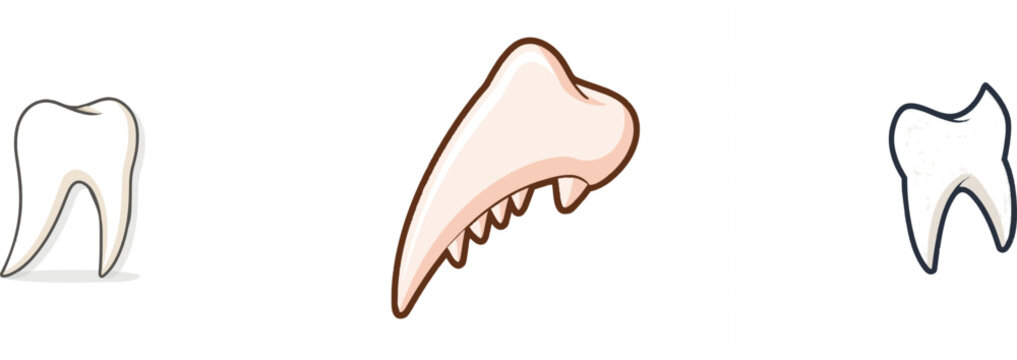 A sharp canine tooth of a timber wolf is depicted in flat vector style with smooth ivory enamel crown, subtle root shading, powerful primitive form, clean outlines, isolated on a solid white