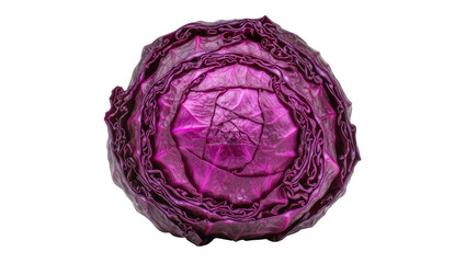 Obraz premium Red cabbage cut in half showing layered leaves and core