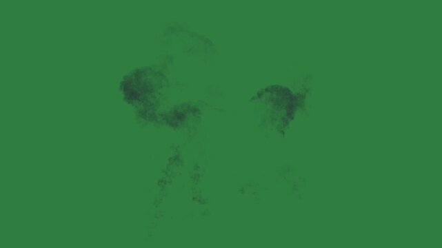 Yellow flower on single burning leaf fire is black smoke coming out of it cloud isolated on green screen background