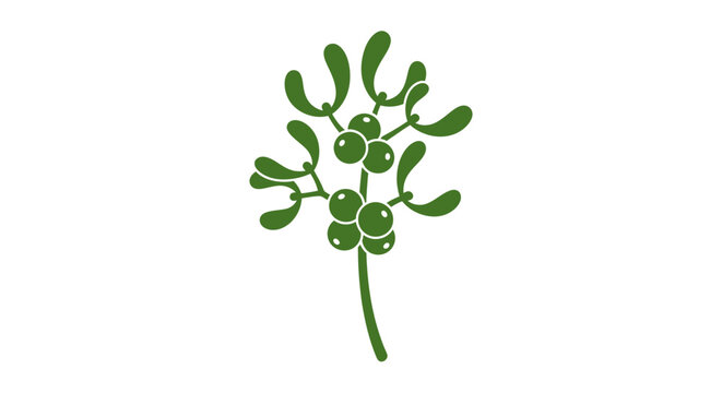 Mistletoe plant with green leaves.