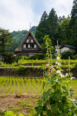 世界遺産　五箇山相倉合掌集落　初夏 © Hiro074