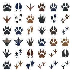Fototapeta premium A collection of various animal footprints on a white background