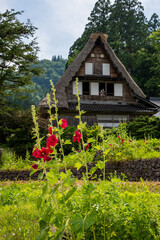 世界遺産　五箇山相倉合掌集落　初夏 © Hiro074