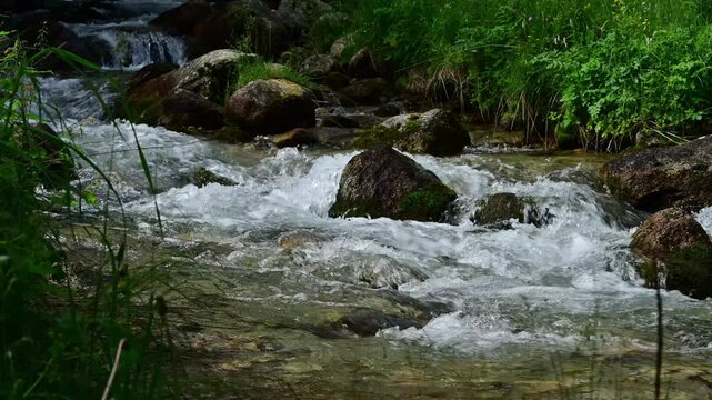 水, たき, 川, 流れ, 自然, 森, 風景, カスケード, あばたのある, ロック, クリーク, 山, 緑, コケ, とぶ, フロー, 旅行, モーション, 優雅な, 公園, ナチュラル, 落ちる