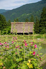 世界遺産　五箇山相倉合掌集落　初夏 © Hiro074