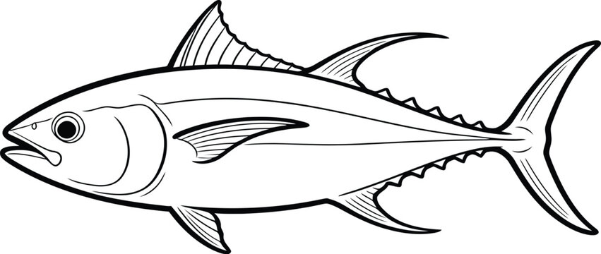 Bluefin tuna illustration side view black and white line art