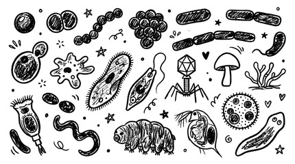 Obraz premium Various hand-drawn microorganisms and microscopic life forms are depicted in a doodle style, showcasing diverse shapes and textures on a clean white background