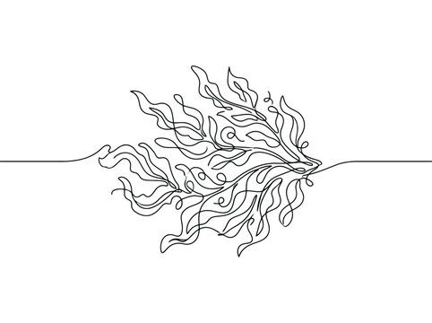 Abstract flowing seaweed lines creating a delicate organic shape with artistic minimalist style