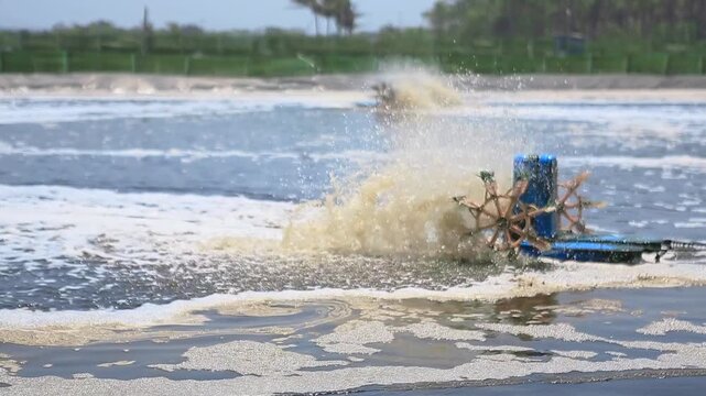 Industrial Aquaculture Shrimp Pond with Rotating Paddle Wheel Aerators